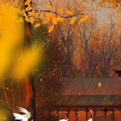问鼎天下果盘版下载